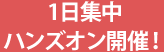 1日集中ハンズオン開催！